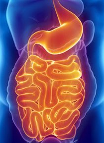 Vitae GI Health