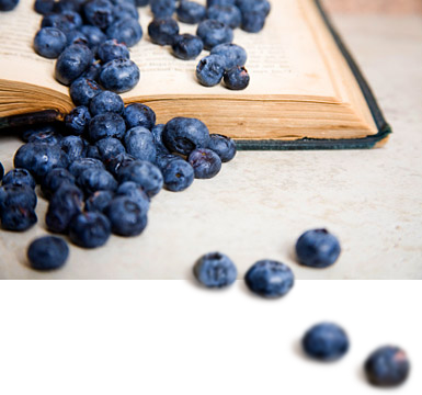 Education to help your journey back to true health